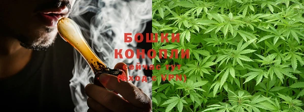 дурь Сосновый Бор